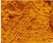 TUMERICUSES AND HEALTH BENEFITS. A CONTAINER WITH POWDER TUMERIC