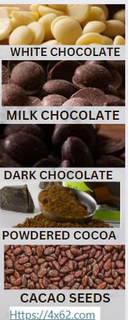 Cacao Beans To Chocolate!! Cocoa In Different Forms. milk,white and dark chocolate, cocoa powder.& dry seeds.