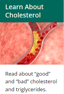 ALL THINGS HEALTH & FITNESS Read about “good” and “bad” cholesterol and triglycerides.Find out what increases your risk for high cholesterol.
