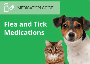  Pet of all king.   A guide for flea and tick Medications