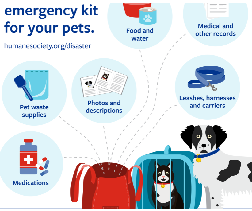  OUR PETS  SAFETY  a poster with all that's needed for our pets emergency kits