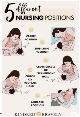 Breastfeeding And How-To. 5 Positions For Breast Feeding Baby Illustrated by Kindred Bravely